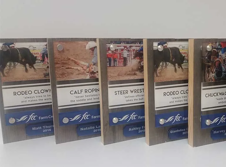 Row of custom printed award plaques